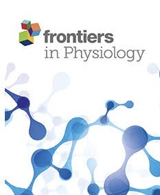 Long-term stay at very high altitude reduces sea-level anaerobic capacity, anaerobic threshold, and fat mass / 2021 (EN) __content__